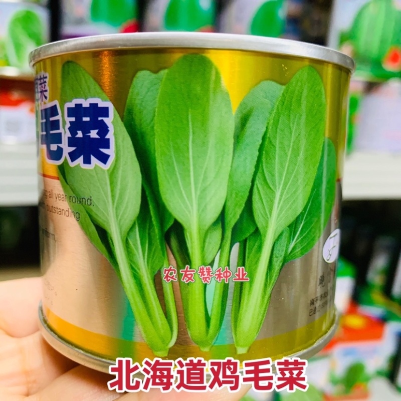 晓富北海道鸡毛菜种子耐热耐雨品质甜嫩找青菜种子夏秋种