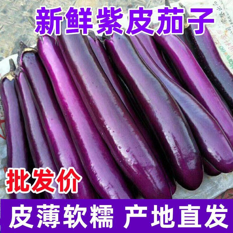 茄子。烤茄。基地直供。保质保量。量多价优