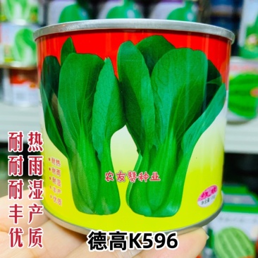 德高K596青梗菜种子耐热耐雨耐湿一代杂交青菜种子抗病