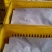 硬粉西红柿陕西富硒西红柿品质货源可长期供货欢迎选