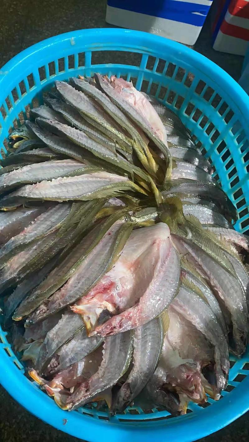 山东精品黄鱼鲞，规格多样可选，量大从优，价格可谈欢迎来电