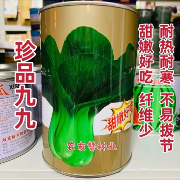 正品晓富珍品九九青梗菜种子口感特好甜嫩好吃小青菜种子