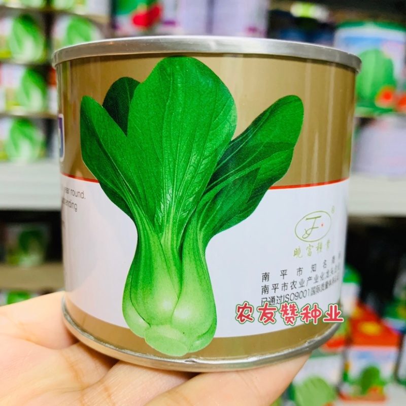 晓富大阪夏力青梗菜种子夏秋两季耐热耐雨抗病无焦心青菜种
