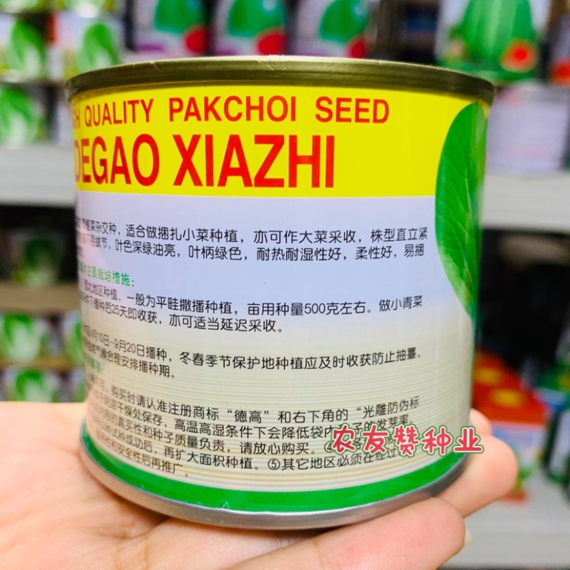 德高夏致青梗菜种子耐捆扎耐热耐湿叶色深绿油亮青菜种子
