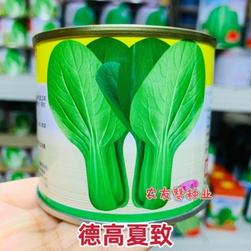 德高夏致青梗菜种子耐捆扎耐热耐湿叶色深绿油亮青菜种子