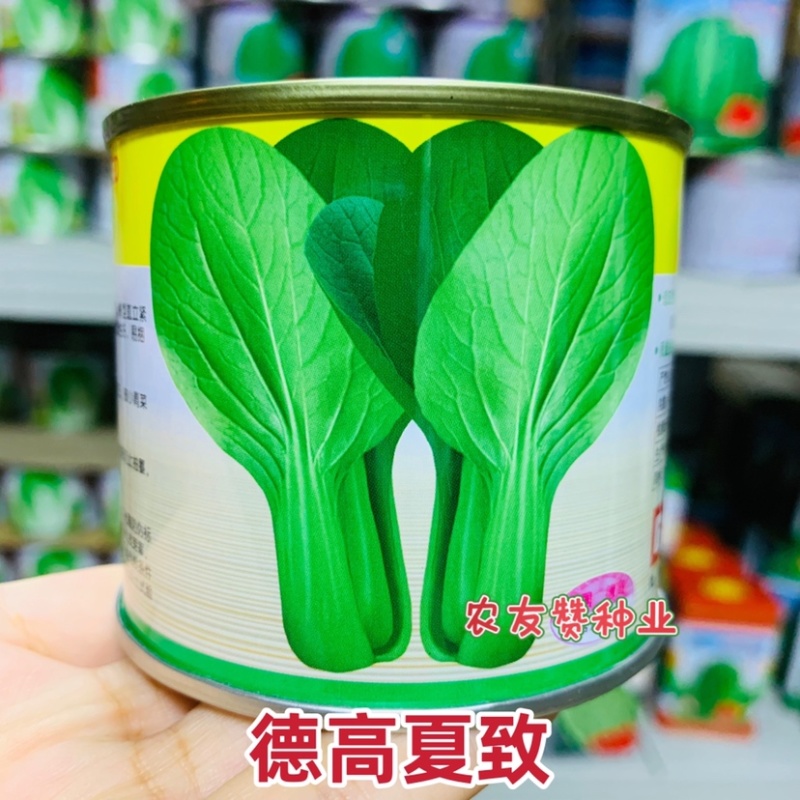 德高夏致青梗菜种子耐捆扎耐热耐湿叶色深绿油亮青菜种子