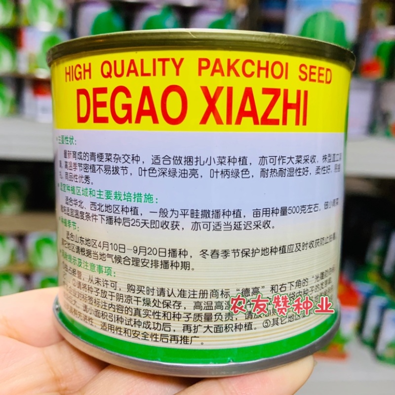 德高夏致青梗菜种子耐捆扎耐热耐湿叶色深绿油亮青菜种子
