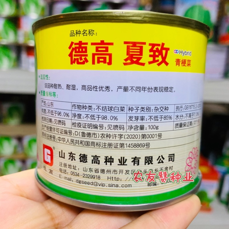 德高夏致青梗菜种子耐捆扎耐热耐湿叶色深绿油亮青菜种子
