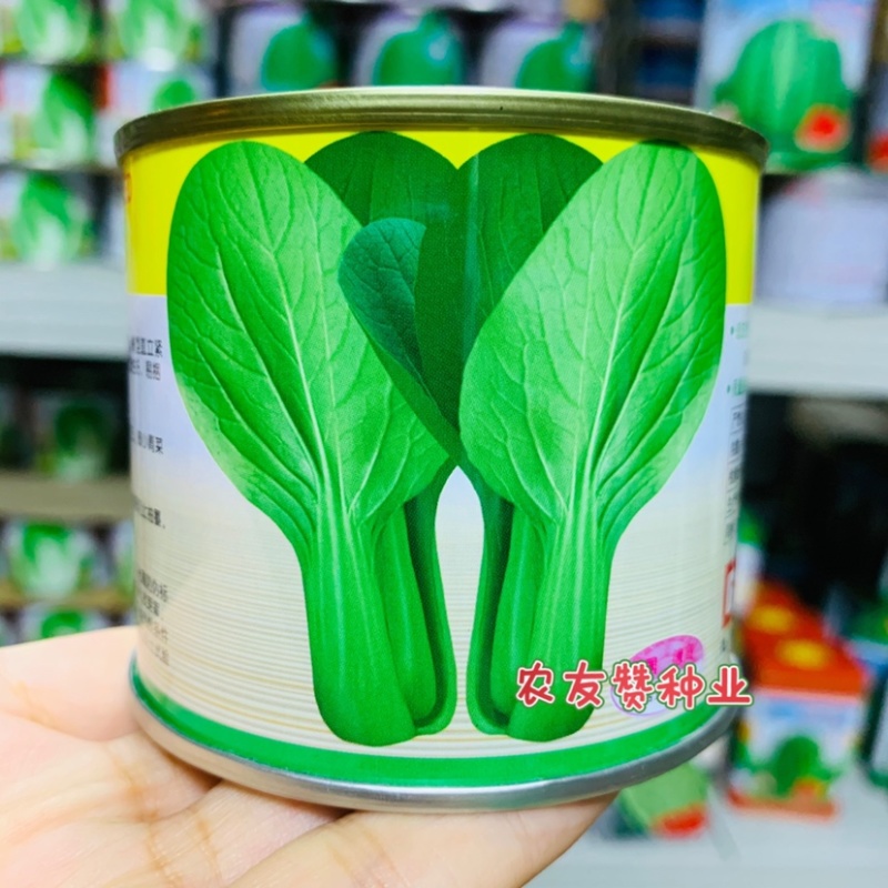 德高夏致青梗菜种子耐捆扎耐热耐湿叶色深绿油亮青菜种子