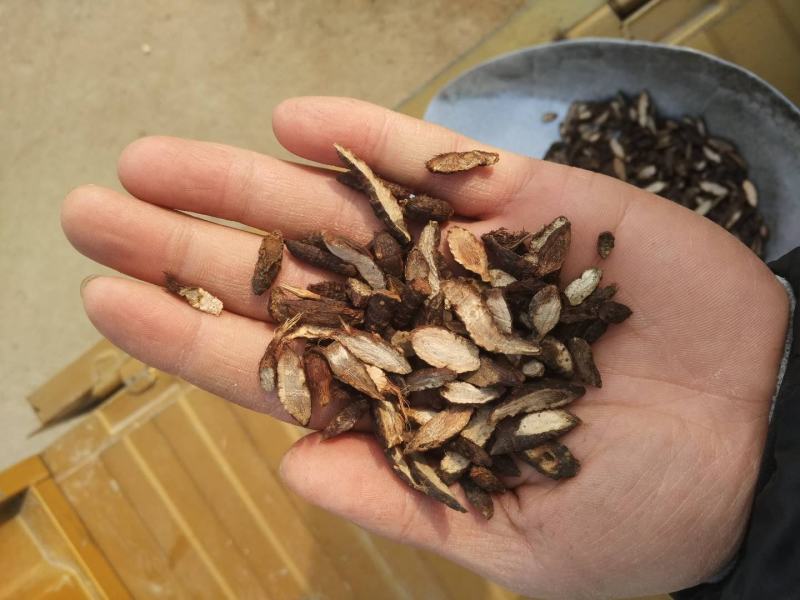 香附香附片炒香附地道药材产地直销一手货源