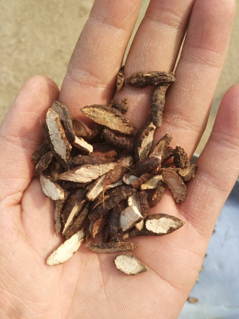 香附香附片炒香附地道药材产地直销一手货源