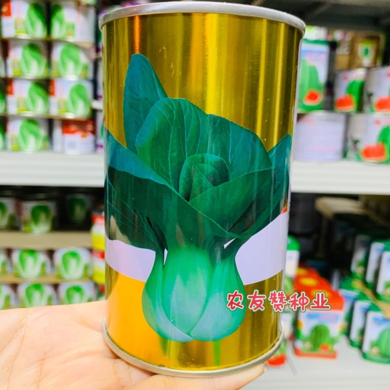晓富珍品冬青梗菜种子耐寒青菜种子束腰性好，基地专用