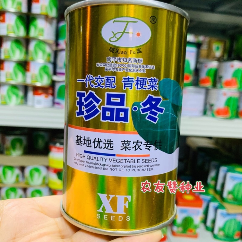 晓富珍品冬青梗菜种子耐寒青菜种子束腰性好，基地专用