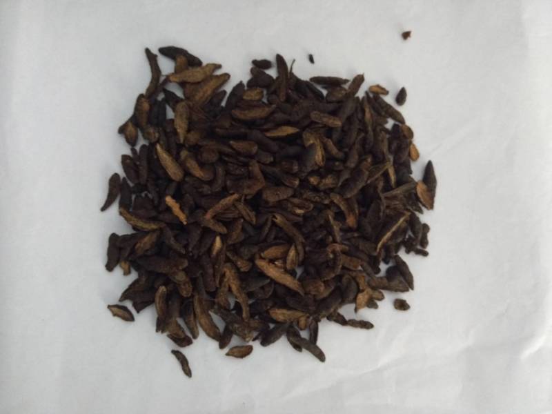 香附香附片炒香附地道药材产地直销一手货源