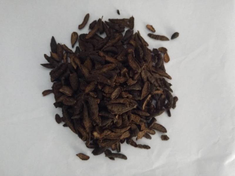 香附香附片炒香附地道药材产地直销一手货源
