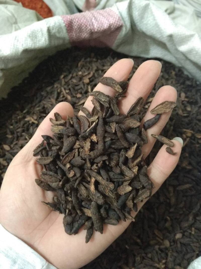 香附香附片炒香附地道药材产地直销一手货源