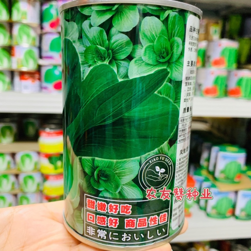 晓富绿翡翠青梗菜种子耐热耐雨叶片亮绿束腰，甜嫩好吃菜种