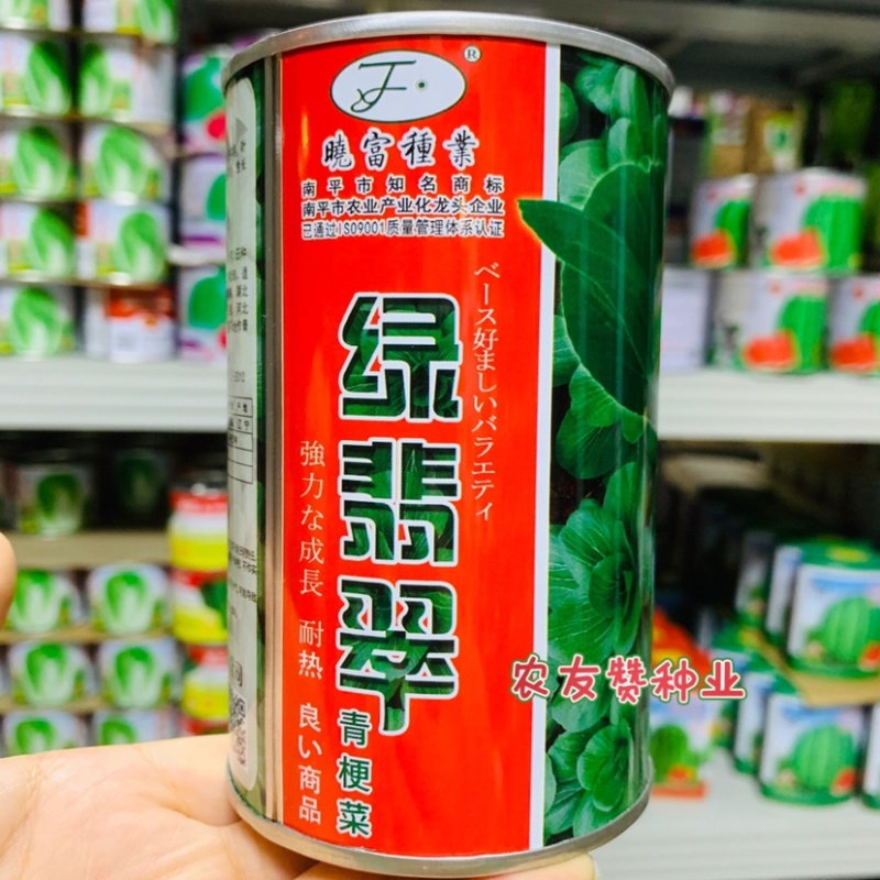 晓富绿翡翠青梗菜种子耐热耐雨叶片亮绿束腰，甜嫩好吃菜种