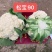 珍玉松宝90菜花种子春秋两用抗病花球大松大囗感好亩500