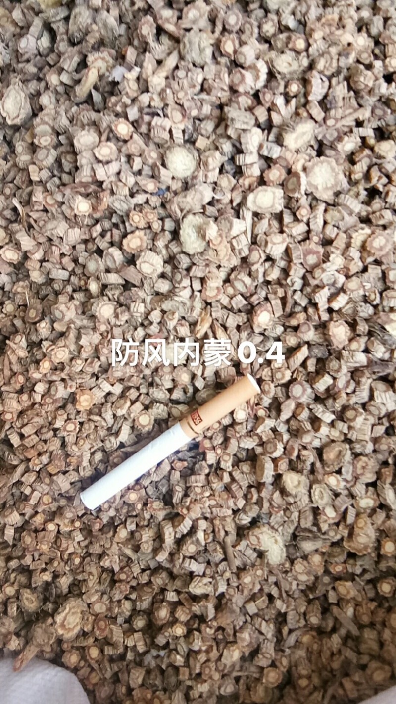防风