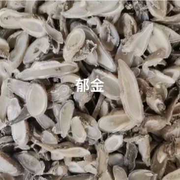 郁金