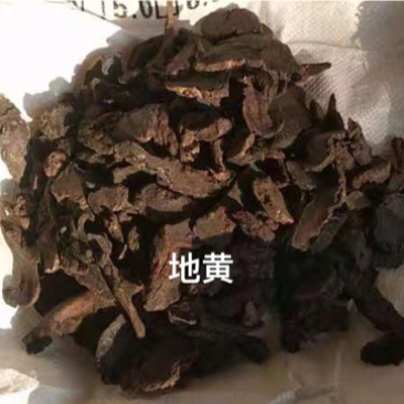 地黄