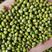 乌兹进口芽绿豆，芽豆，豆芽绿豆，大量供应