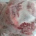 精品梅花鹿，鹿肉，梅花鹿，鹿肉！活鹿现杀新鲜鹿肉！