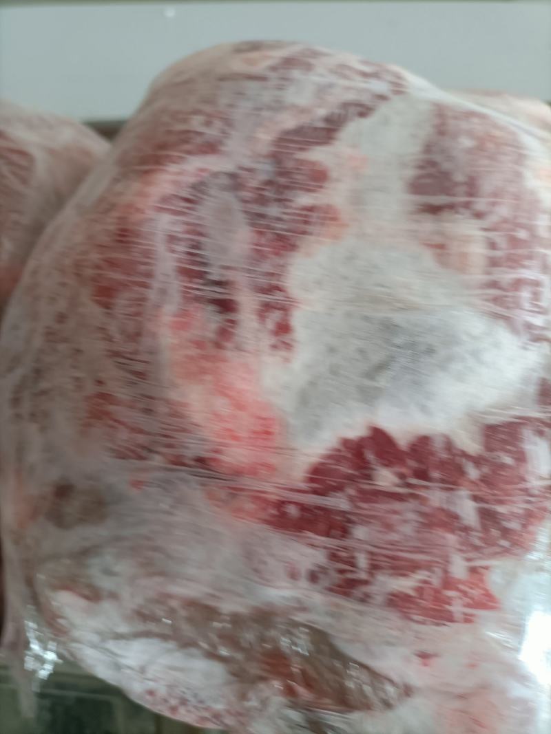精品梅花鹿，鹿肉，梅花鹿，鹿肉！活鹿现杀新鲜鹿肉！