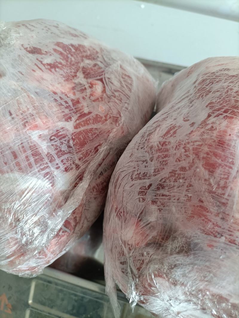精品梅花鹿，鹿肉，梅花鹿，鹿肉！活鹿现杀新鲜鹿肉！