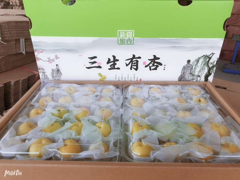 新疆小白杏，支持产地一件代发顺丰，落地配，整车发