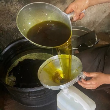 湖北本地菜籽高质量油颜色金黄，水分干，出油高。