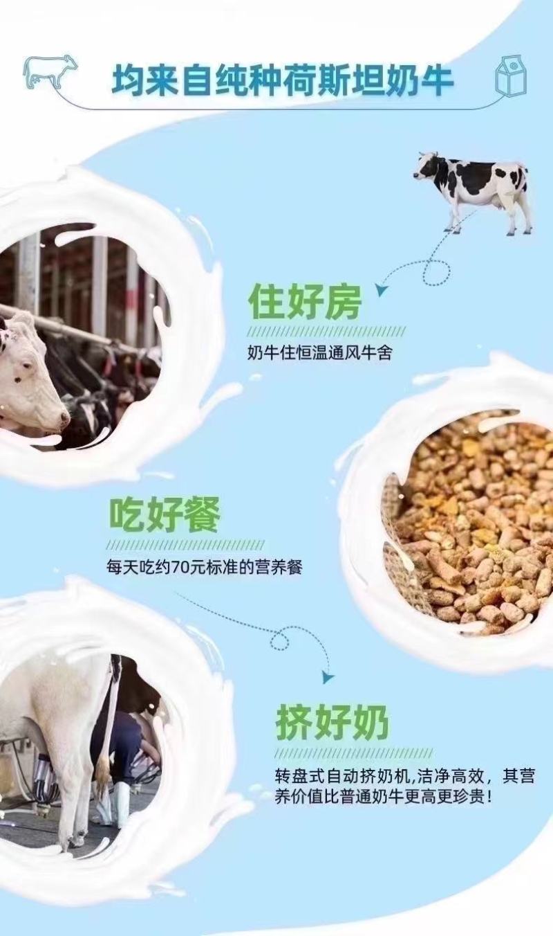 清零牛奶