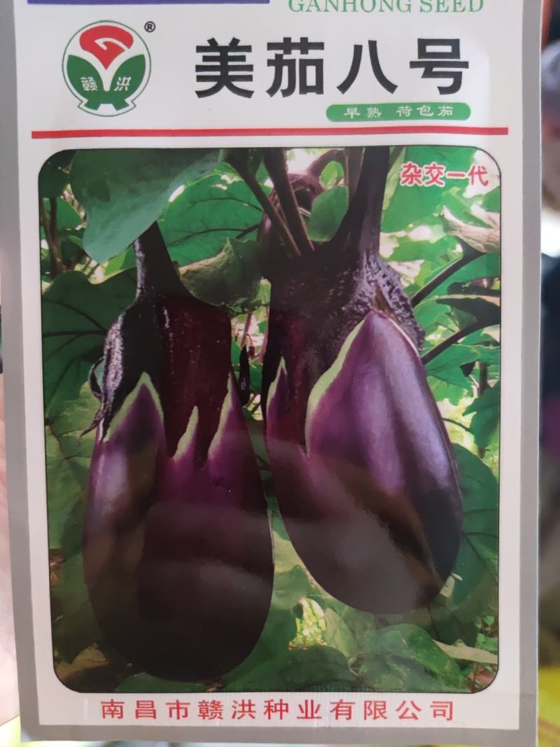 美茄八号茄子种子，1000粒