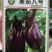 美茄八号茄子种子，1000粒