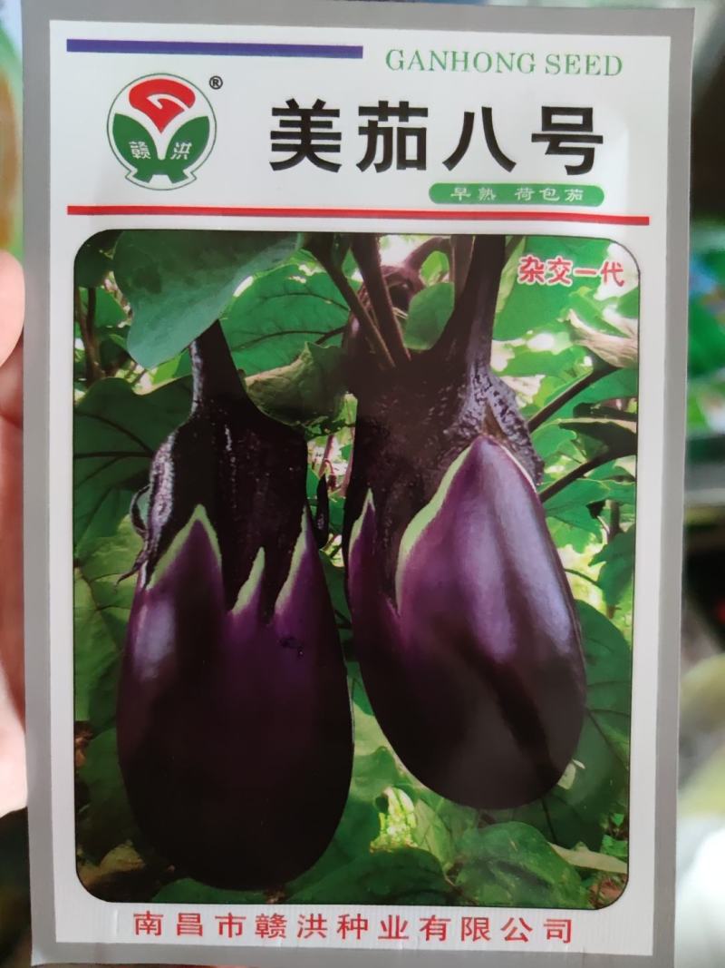 美茄八号茄子种子，1000粒