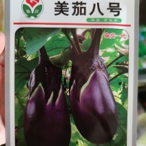 美茄八号茄子种子，1000粒