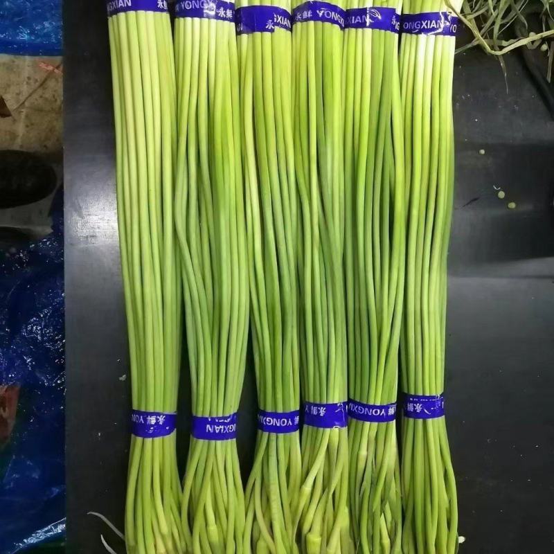 永年白苔，供新疆，内蒙，东北大市场，超市电商等