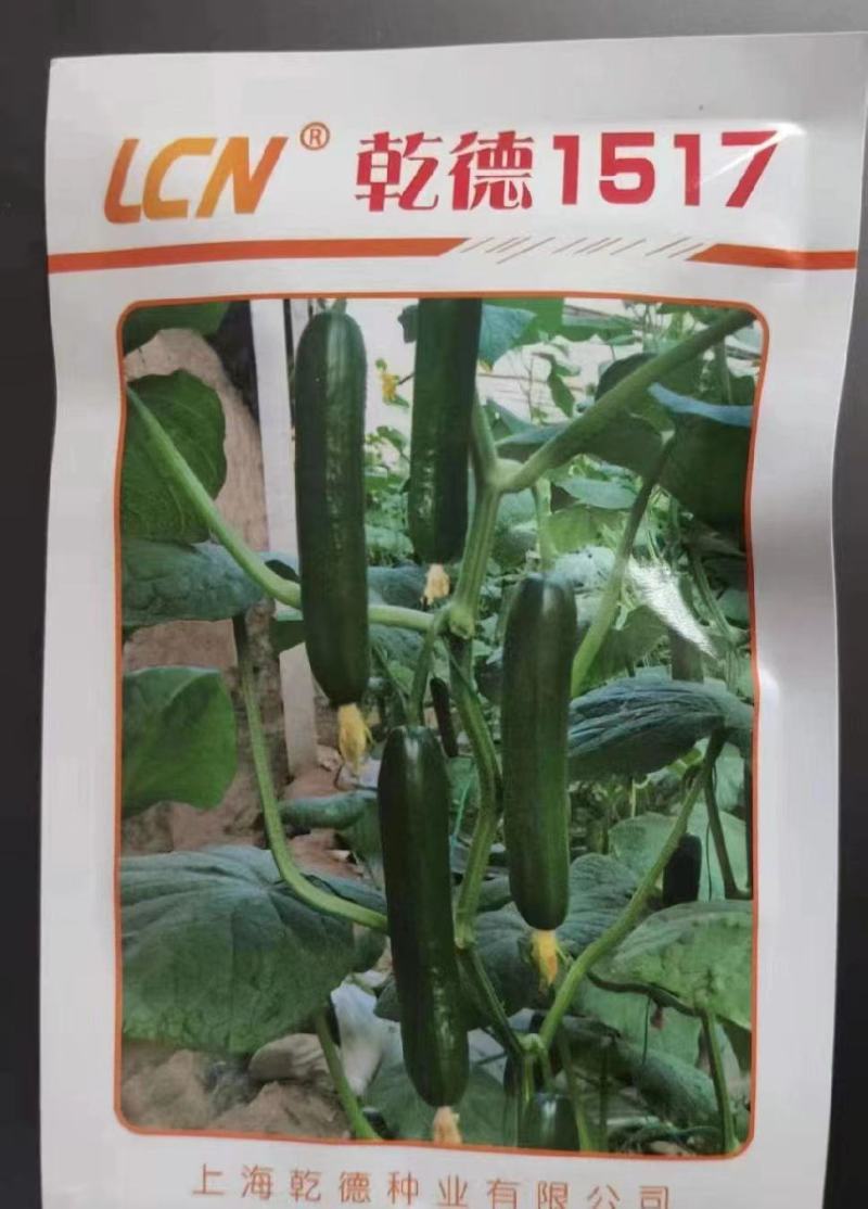 包邮1917水果小黄瓜种子无刺小黄瓜种子乳瓜高产抗病