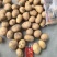 2-32-4小土豆迷你土豆加工厂土豆