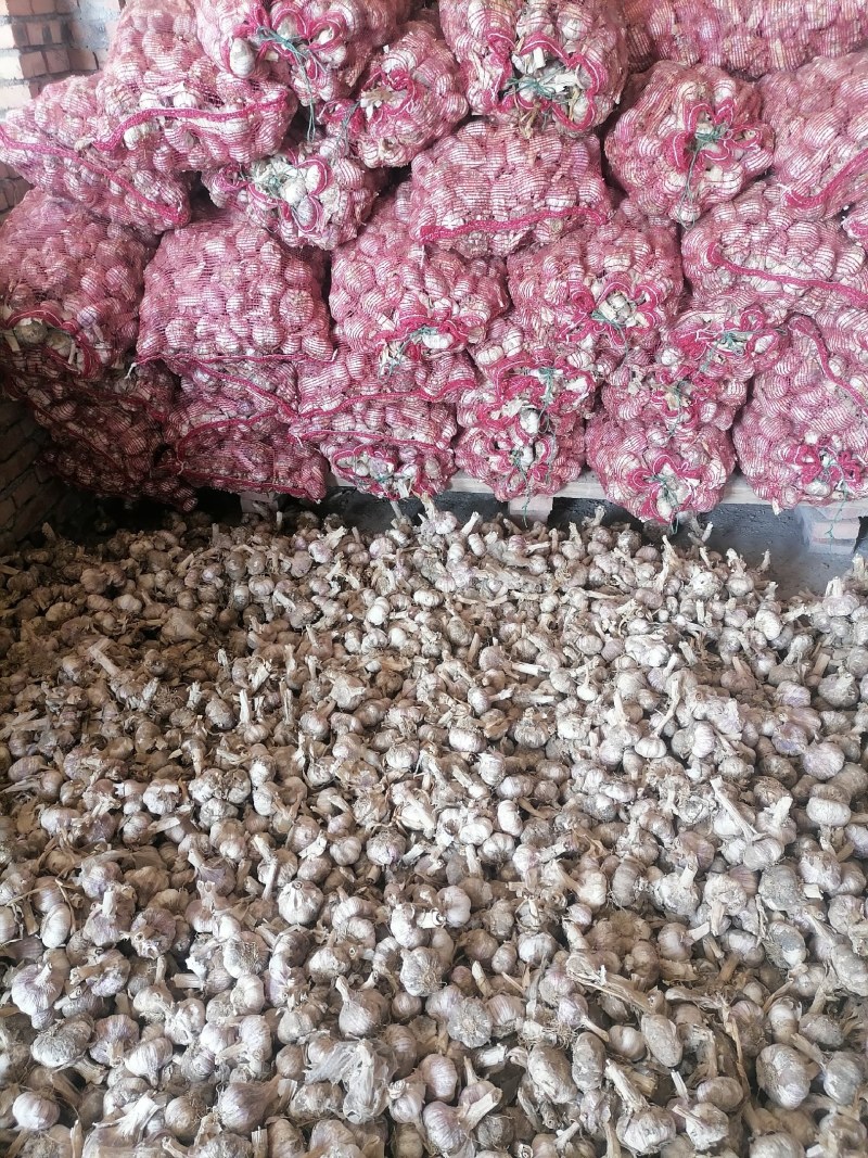 花生大蒜
