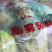 高原夏菜精品甘蓝靖远品质优良一手抓，小甘蓝
