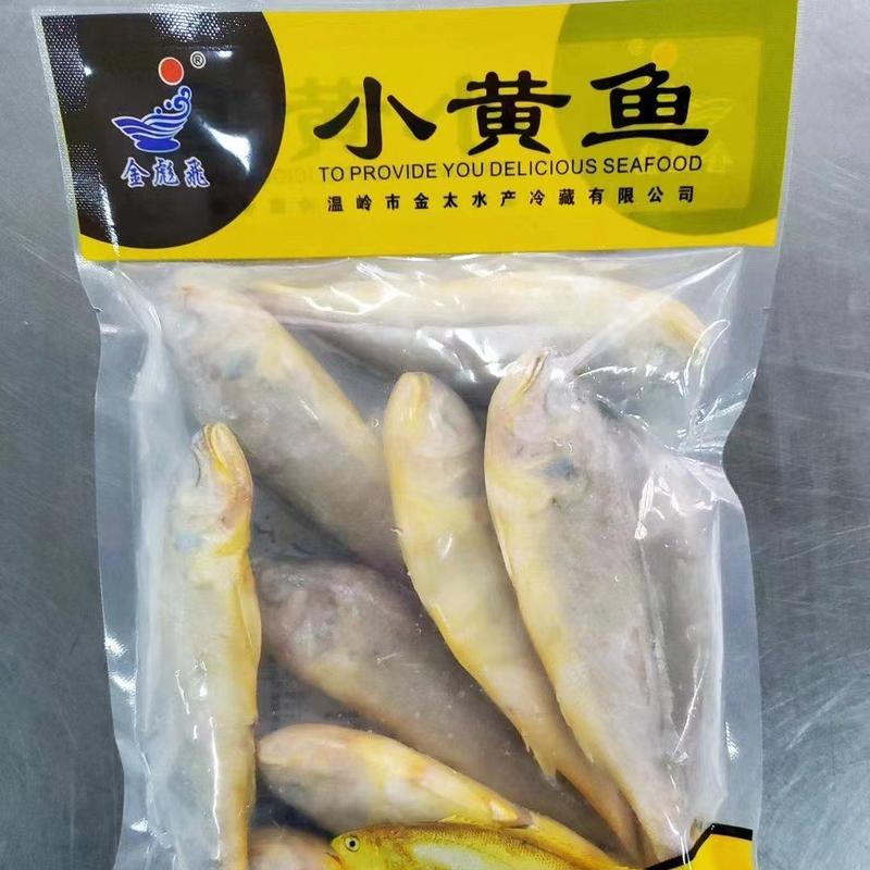 东海精品小黄鱼一手货源产地直供厂家直销对接批发商
