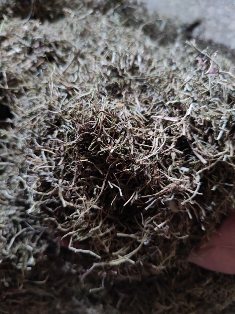 半边莲新鲜干货中药材半边花细米草中药材无硫