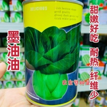 晓富墨油油青梗菜种子耐热油绿耐雨束腰不易拔节青菜种子