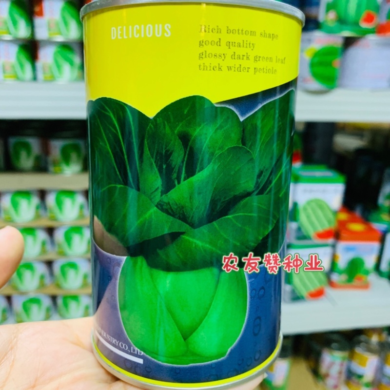 晓富墨油油青梗菜种子耐热油绿耐雨束腰不易拔节青菜种子