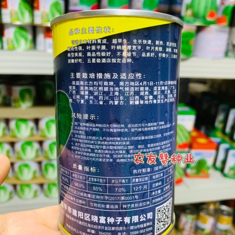 晓富墨油油青梗菜种子耐热油绿耐雨束腰不易拔节青菜种子