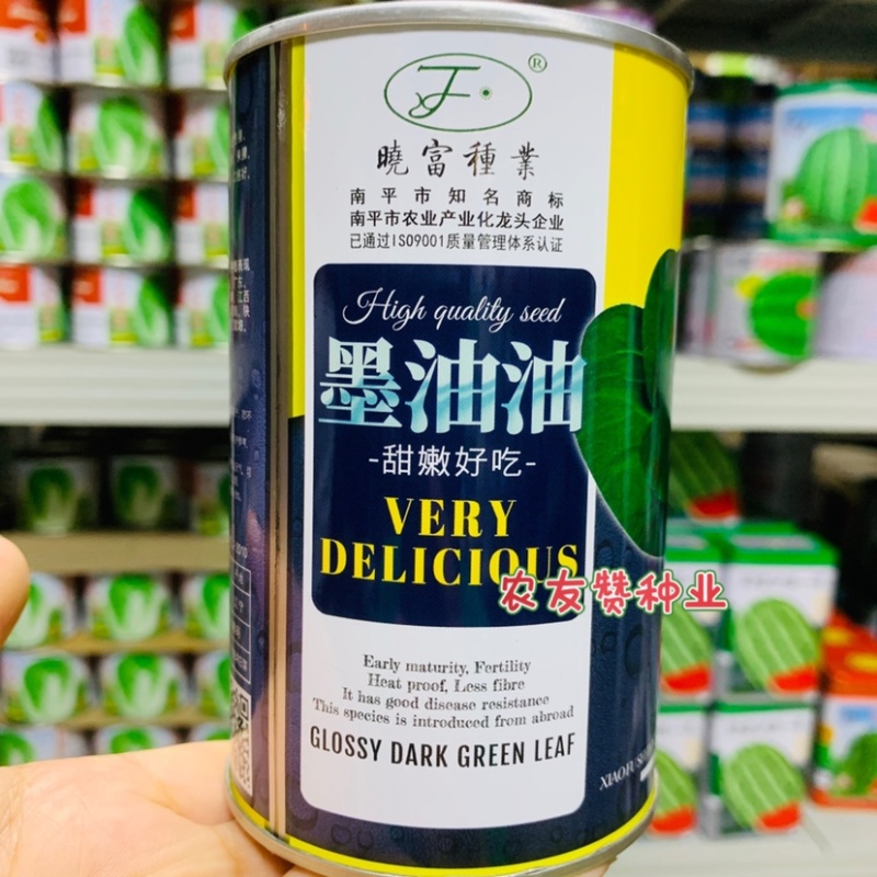 晓富墨油油青梗菜种子耐热油绿耐雨束腰不易拔节青菜种子