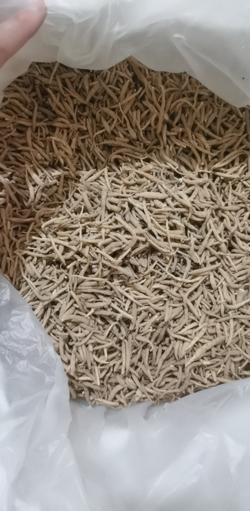 振兴药材批发供应太子参规格齐全产地直供一手货源全国发货