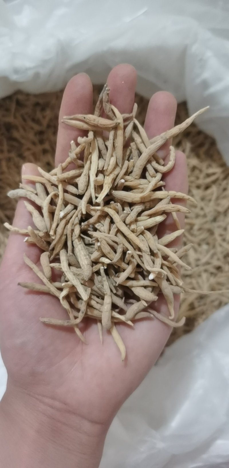 振兴药材批发供应太子参规格齐全产地直供一手货源全国发货